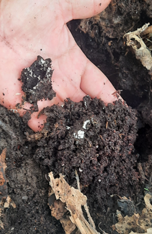 Tratamento do solo Tratamento do solo