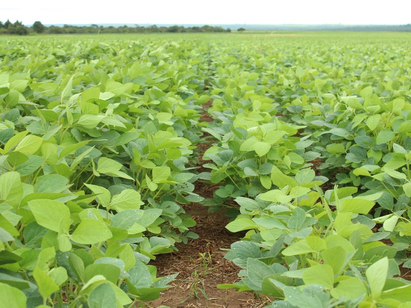 Agricultura Agricultura