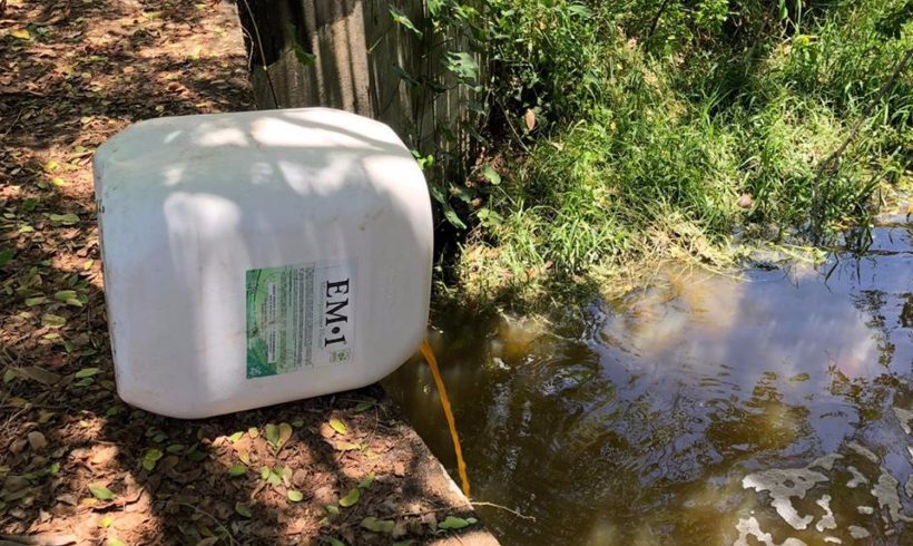 Meio Ambiente Meio Ambiente