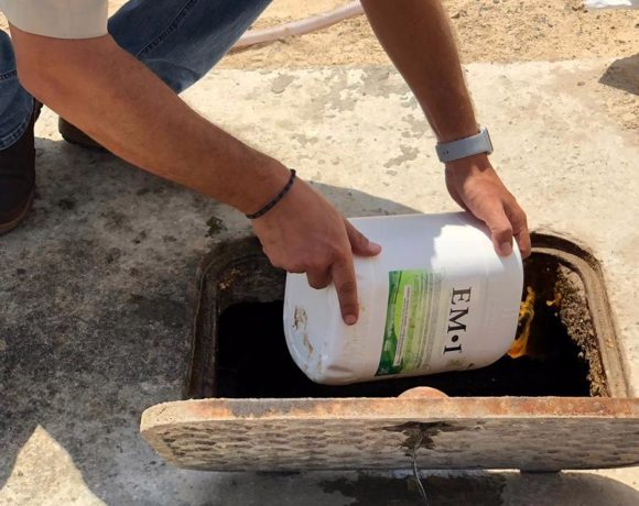 VIDA COTIDIANA VIDA COTIDIANA