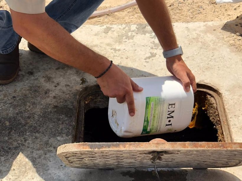 VIDA COTIDIANA VIDA COTIDIANA